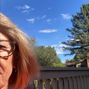 Meet your Posher, Carol